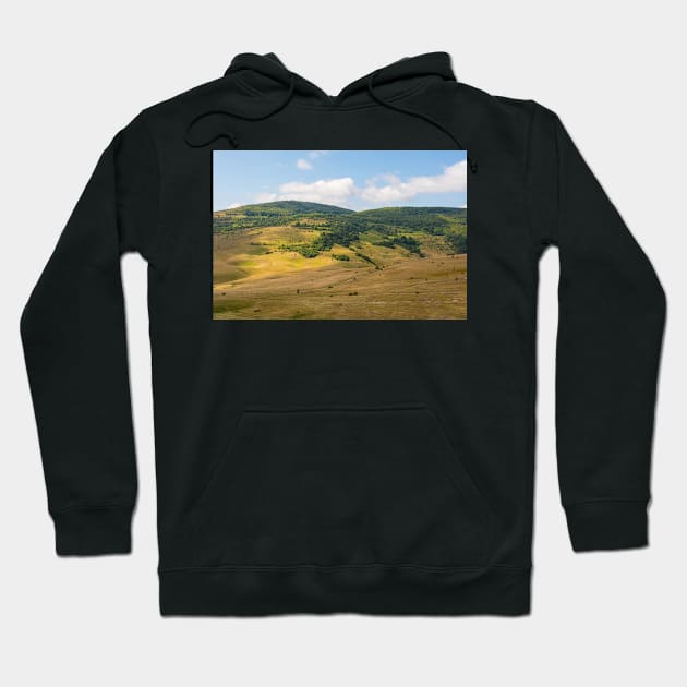 Summer Landscape Near Gornje Ratkovo, Bosnia Hoodie by jojobob